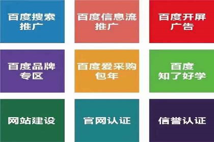 百度竞价托管公司案例：揭秘高效广告投放策略